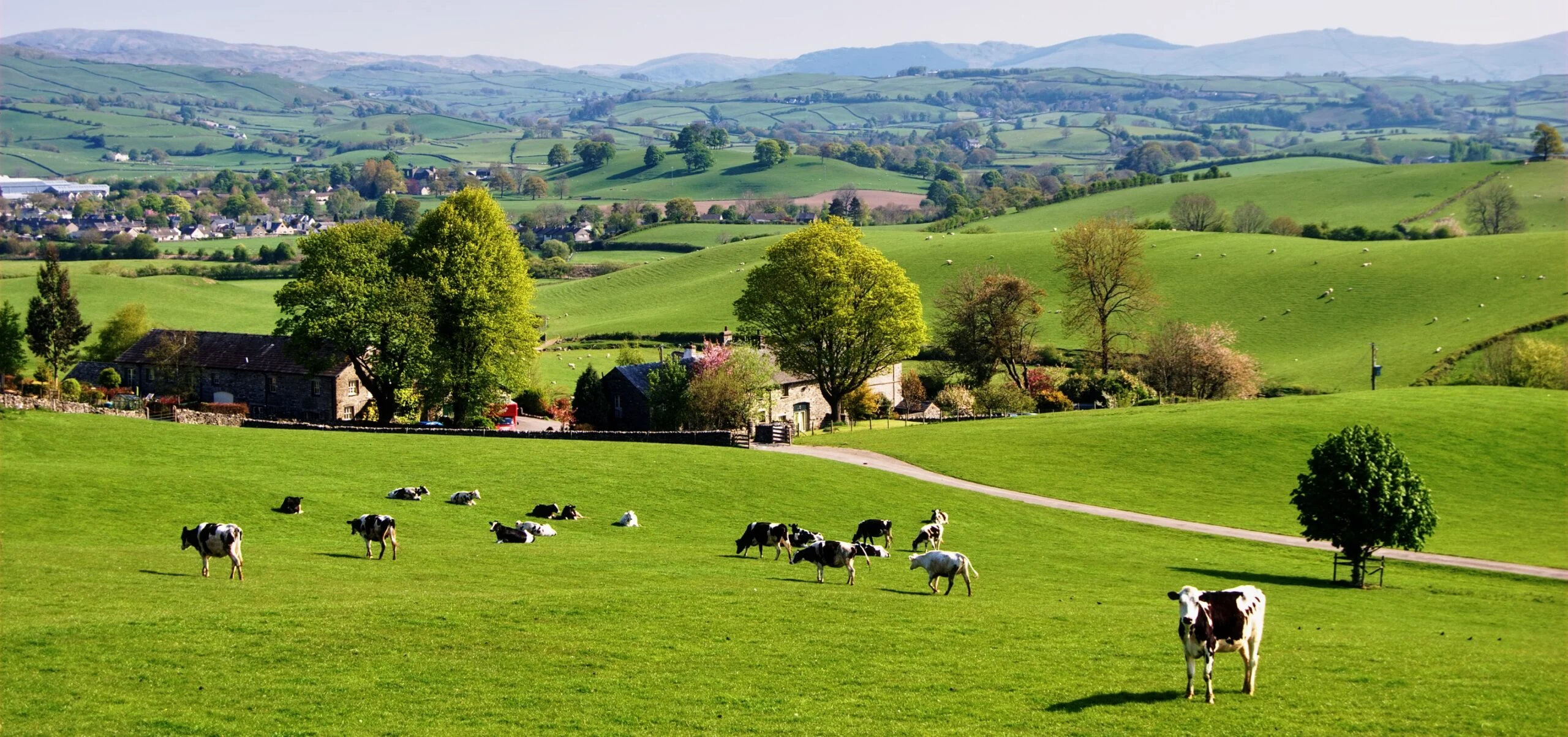 Pastoring and Shepherding Science